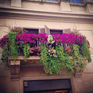 Someone actually owns this balcony overlooking Piazza Navona. 